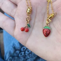 Lot 2 Mira Magnet - Cerise & Fraise 3