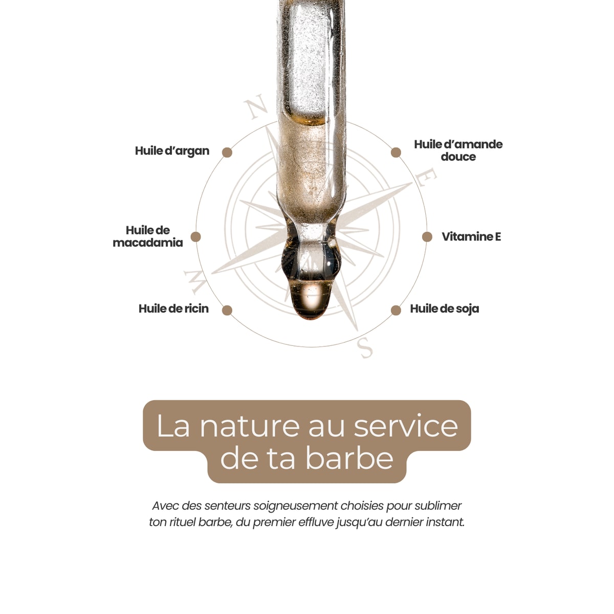 Huile à Barbe - Ambre - 50ml 2
