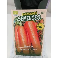 Cône d’arrosage Parkside + sachet de graines biologiques reproductibles de carottes offert 6