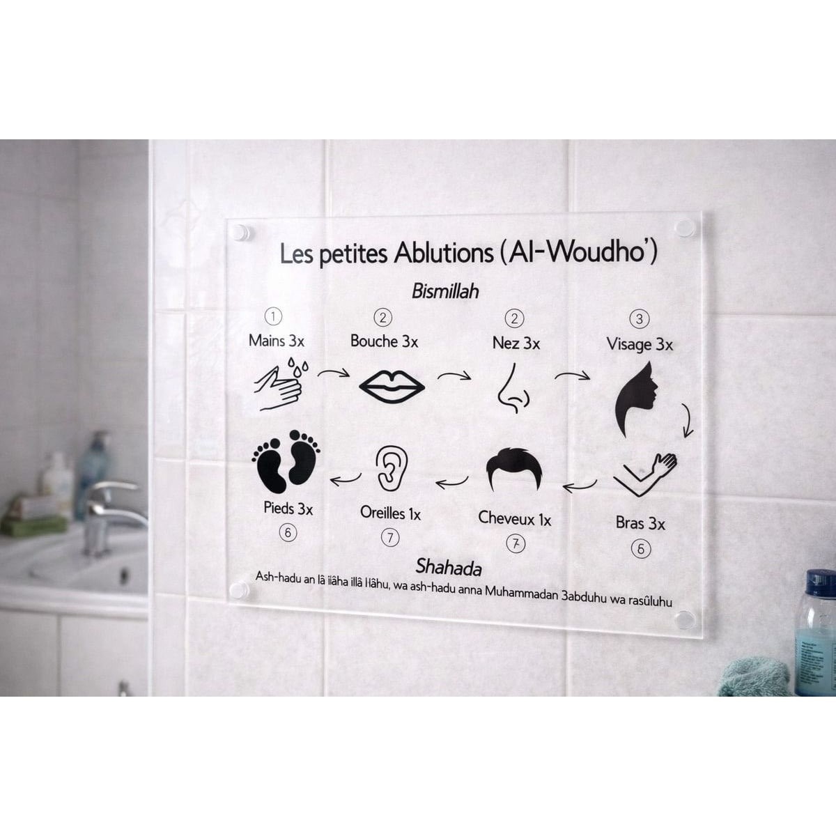 Plexiglass éducatif - Les petites ablutions