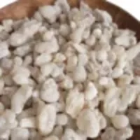 Oliban hojari (white small) d'Oman 2