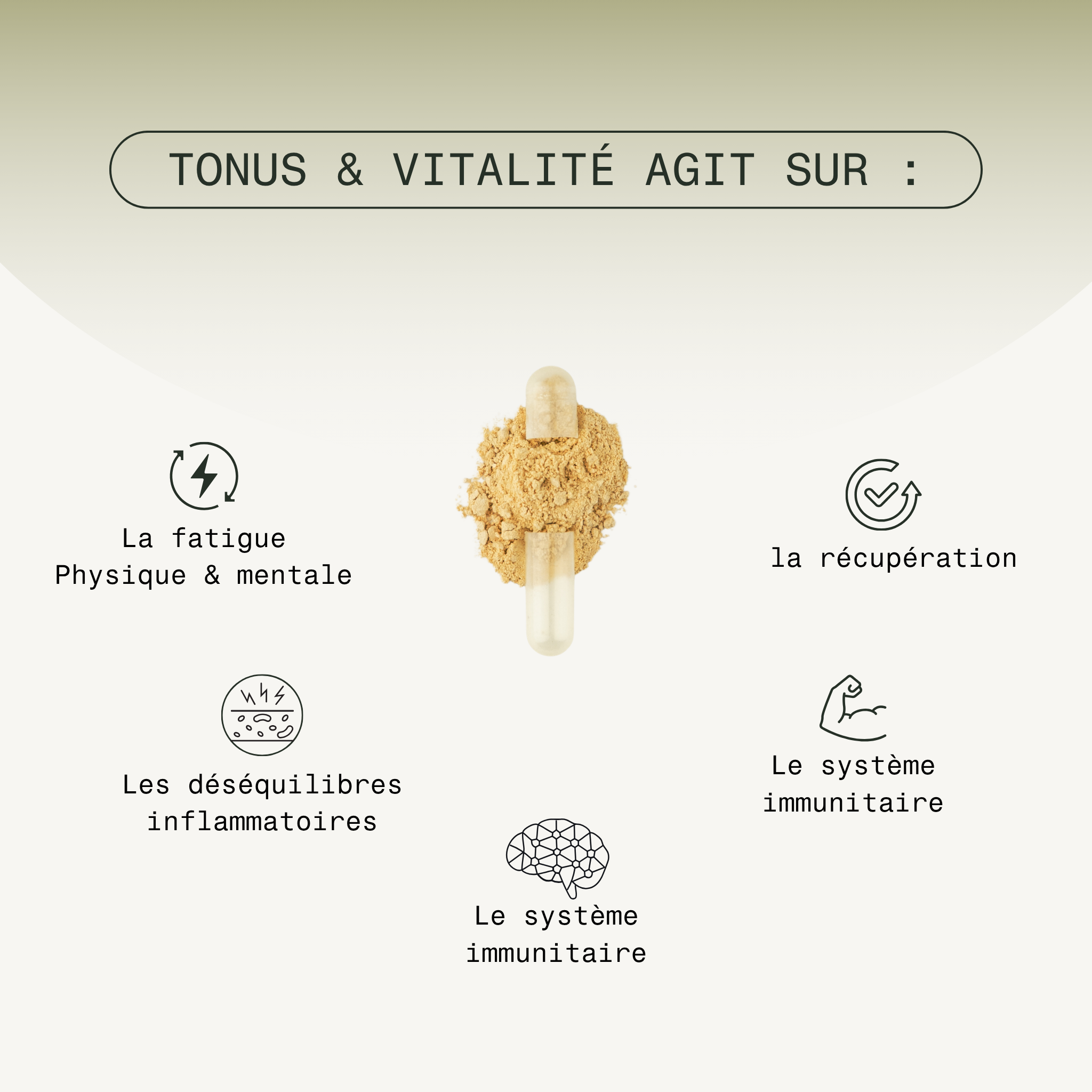 Tonus & Vitalité - 2 mois (60 gélules) 5