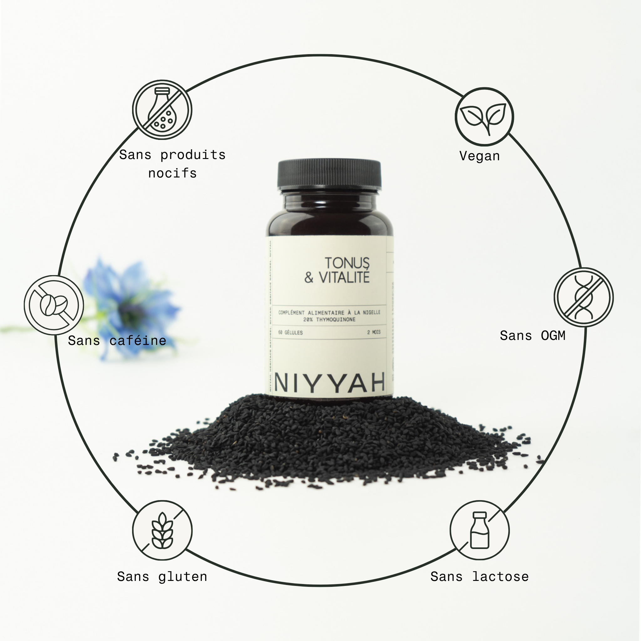 Tonus & Vitalité - 2 mois (60 gélules) 6