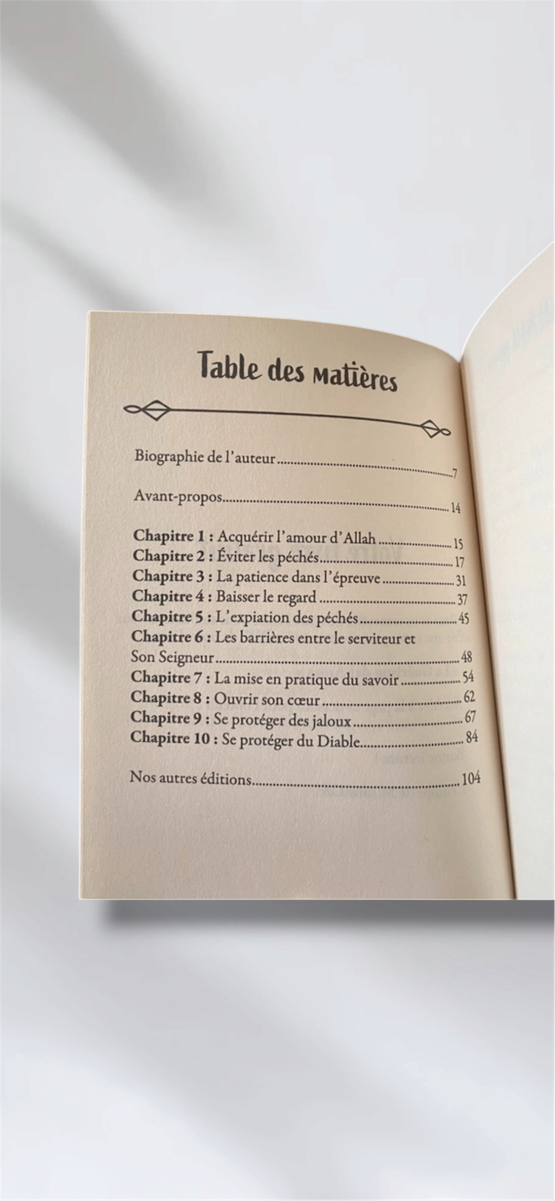99 Remèdes contre les péchés  2
