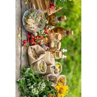 Équilibre & Vitalité – Conseil en naturopathie