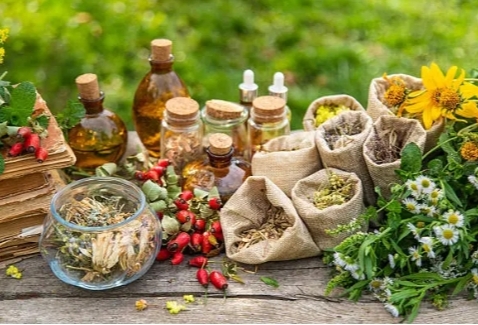 Équilibre & Vitalité – Conseil en naturopathie
