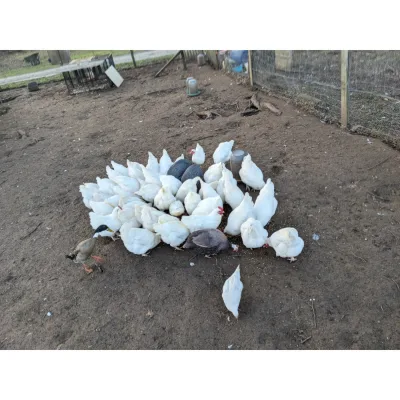 Ferme pédaogique