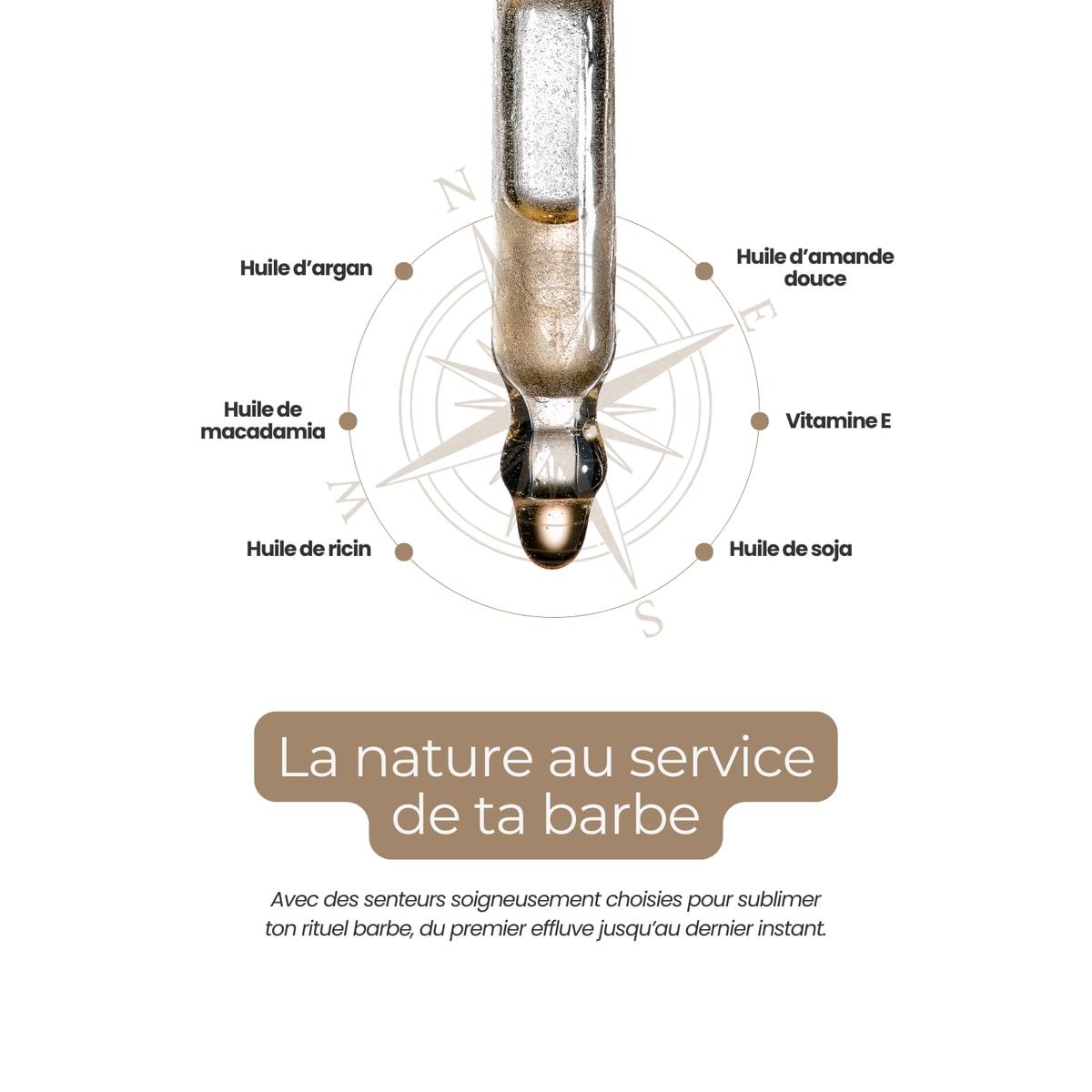Huile à Barbe - Ambre - 50ml 2