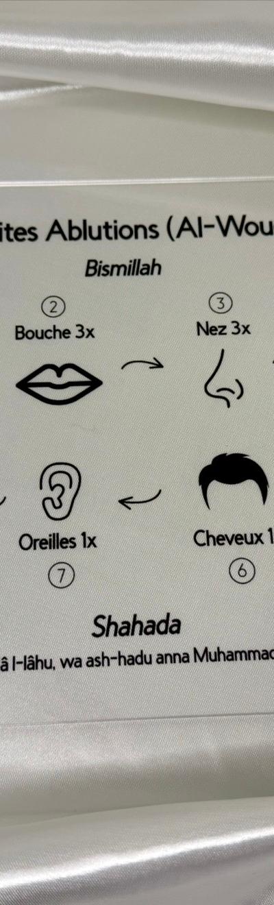 Plexiglass éducatif - Les petites ablutions 