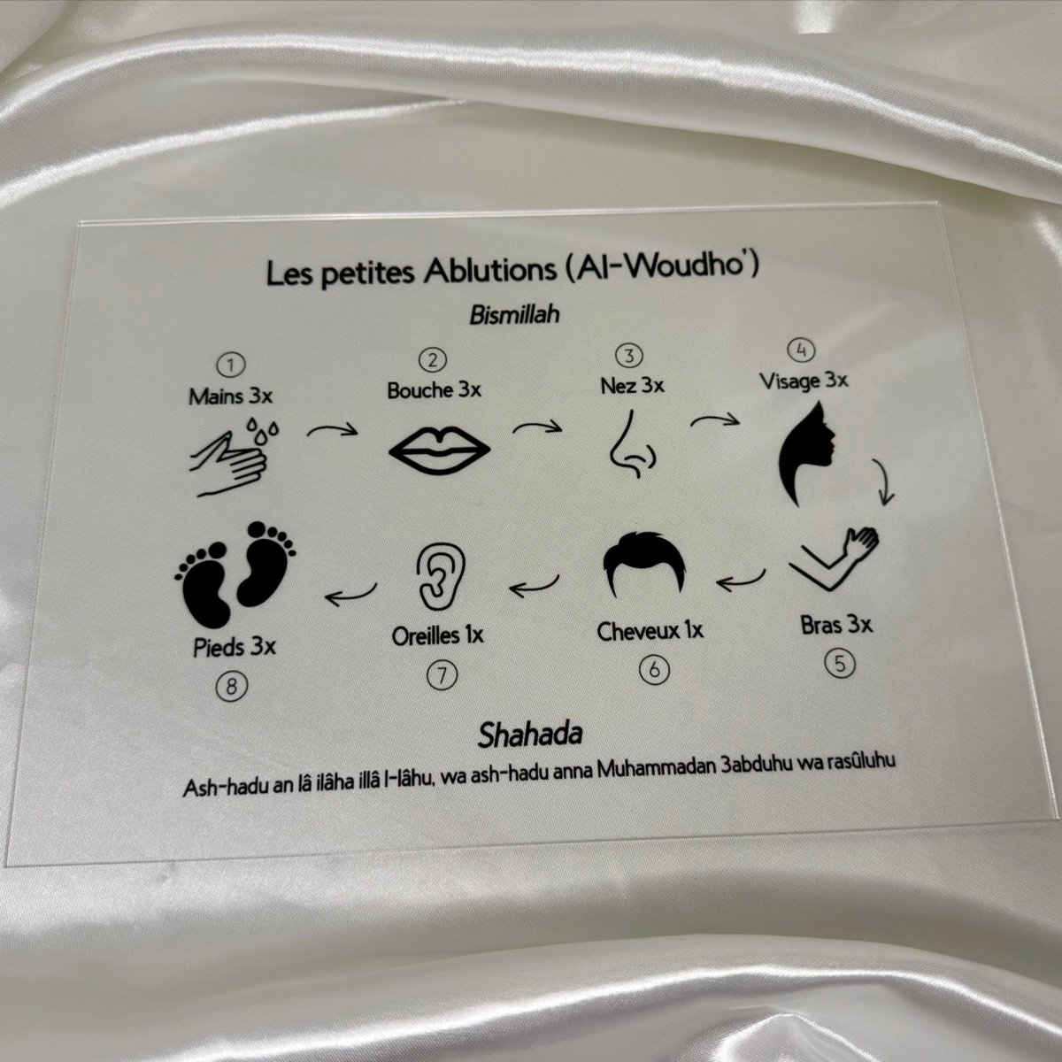 Plexiglass éducatif - Les petites ablutions