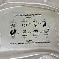 Plexiglass éducatif - Les petites ablutions