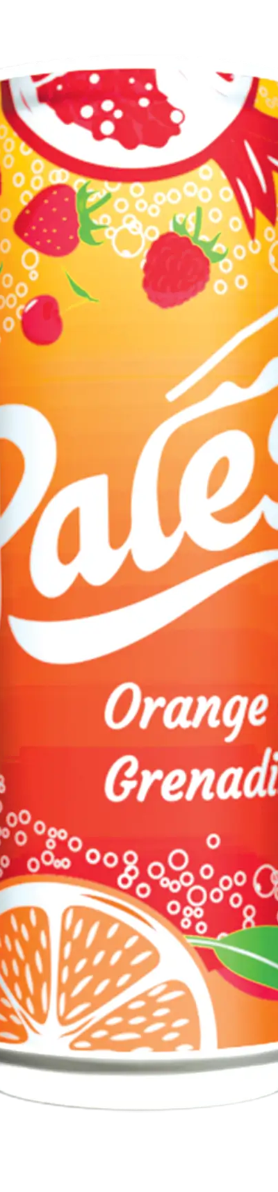 Pack de 24 canettes 33 cl Oranges & Grenadine