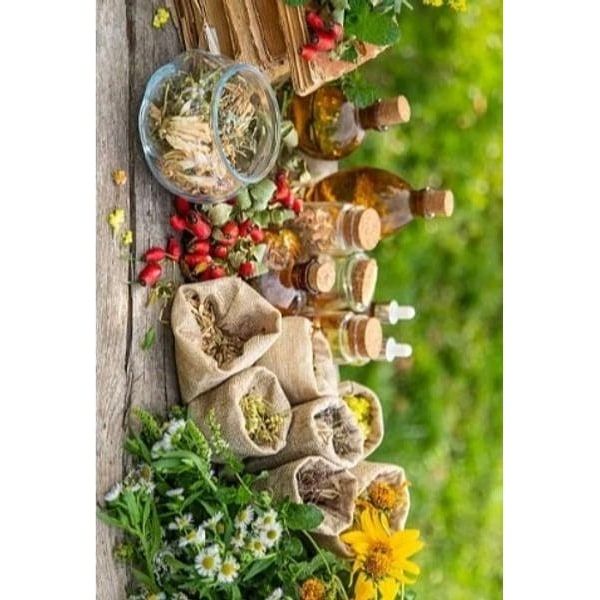 Équilibre & Vitalité – Conseil en naturopathie